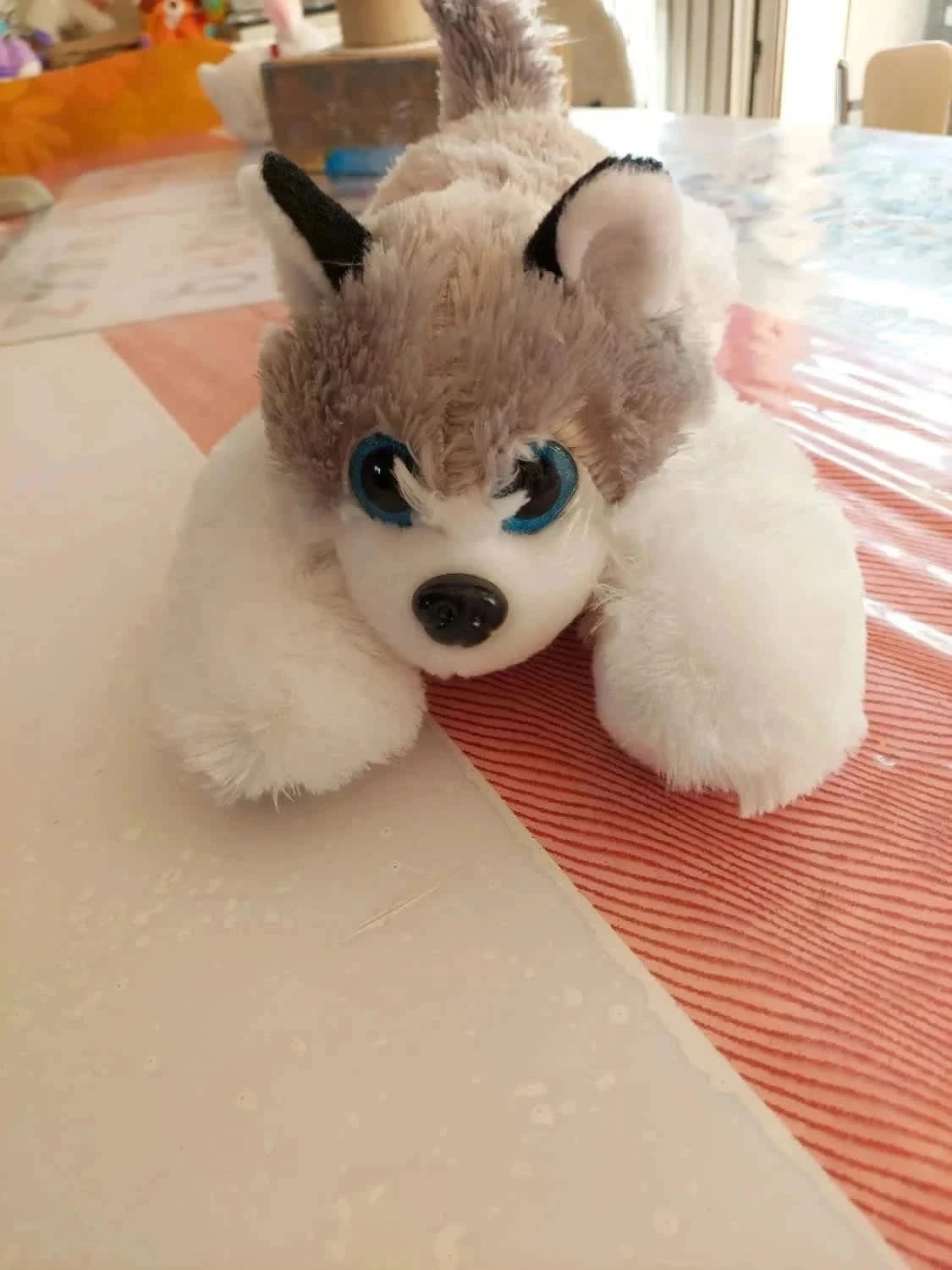 Peluche doudou husky